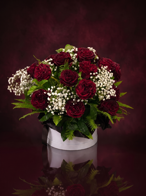Deep burgundy roses with baby's breath in a white round box, on a deep burgundy studio background with reflection