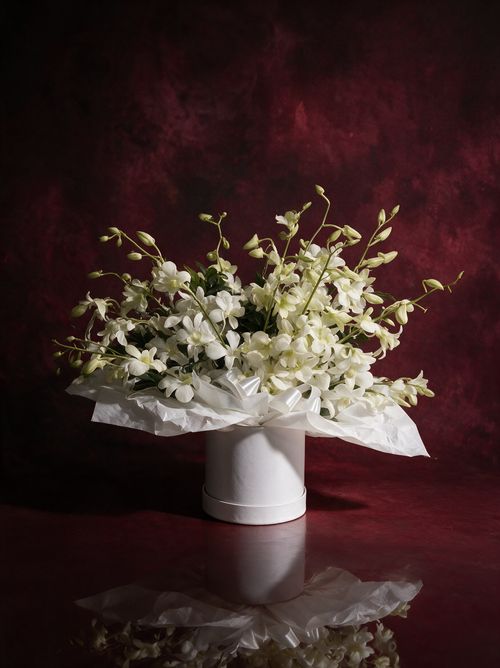 Singapore Orchids: white dendrobium orchids with long sprays of green buds, collared in crumpled white paper in a round white hatbox, made in Surfers Paradise